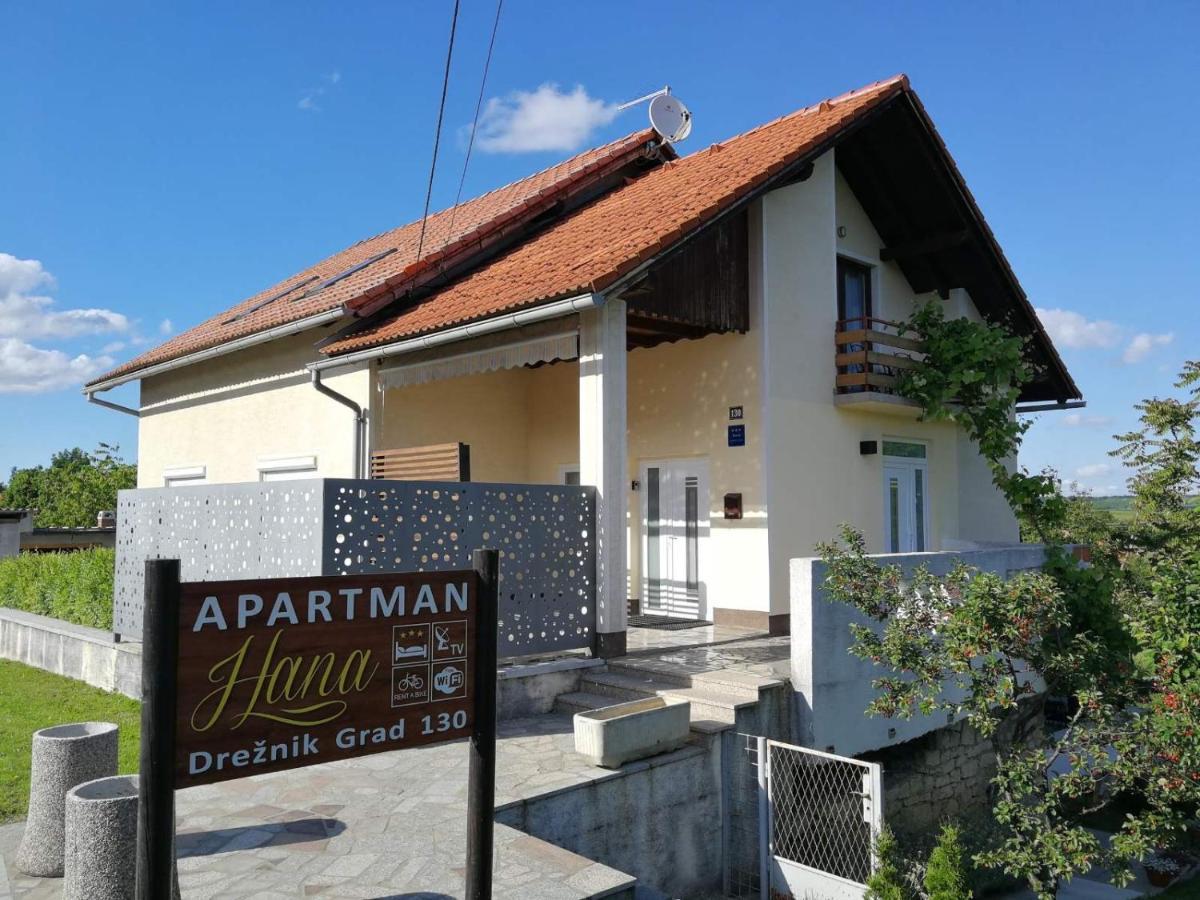 Ferienwohnung Apartman Hana Drežnik Grad Exterior foto
