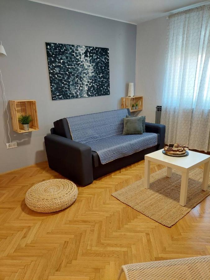 Ferienwohnung Apartman Hana Drežnik Grad Exterior foto