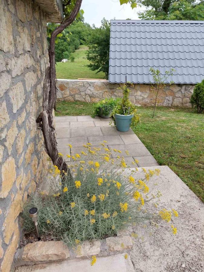 Ferienwohnung Apartman Hana Drežnik Grad Exterior foto