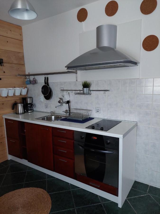 Ferienwohnung Apartman Hana Drežnik Grad Exterior foto