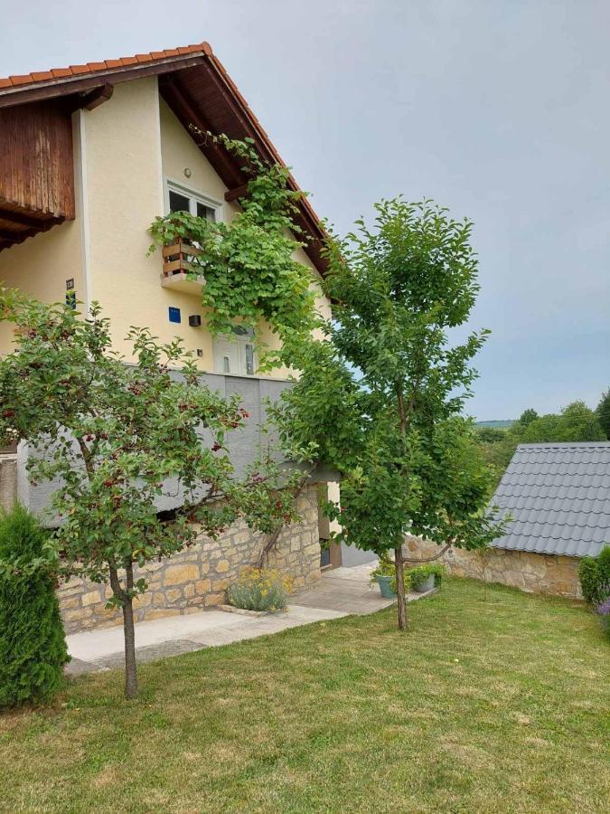 Ferienwohnung Apartman Hana Drežnik Grad Exterior foto