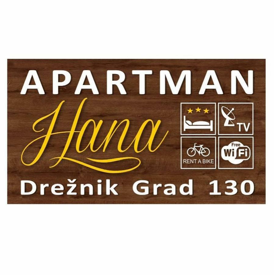 Ferienwohnung Apartman Hana Drežnik Grad Exterior foto